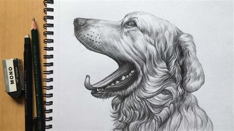 Pencil Drawings Of Dogs