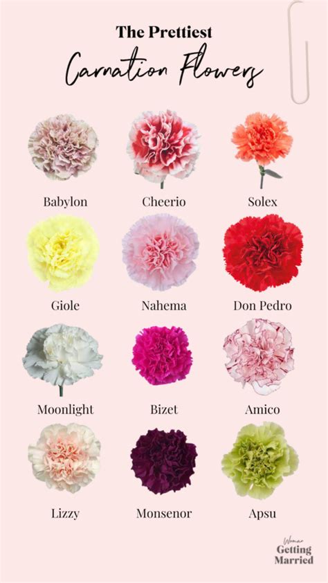 Here's Why Carnation Flowers are the Best for Weddings