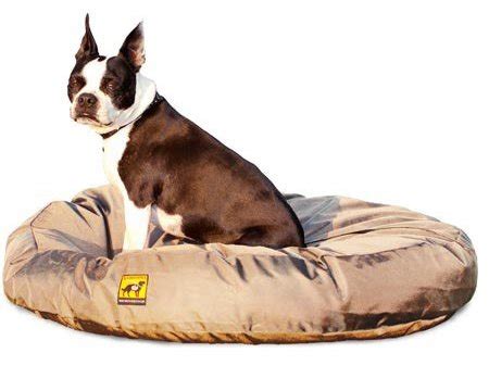 4 Best Chew Proof Dog Beds for Rough Chewers