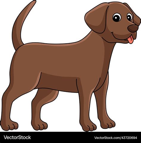 Chocolate lab dog cartoon colored clipart Vector Image