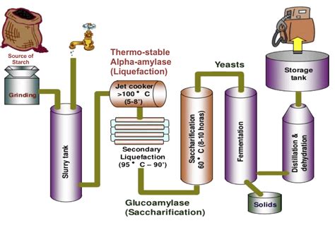 Ethanol Process | Cassava Development Authority