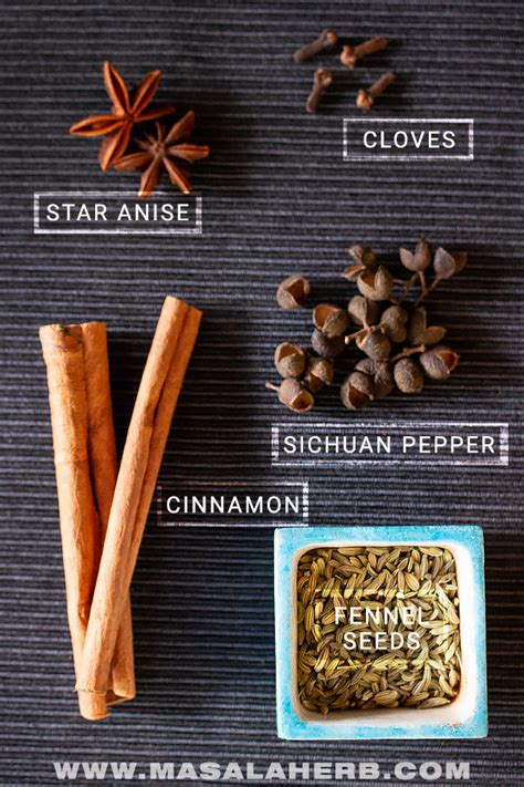 Chinese Five Spice Powder Recipe [Homemade] | Masala Herb