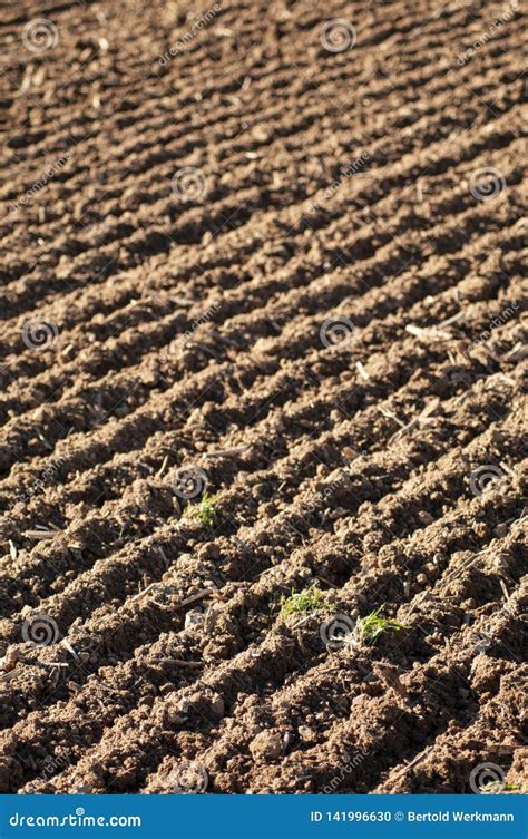 Brown loamy soil stock photo. Image of sand, plow, environment - 141996630