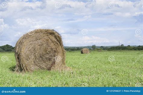 Straw bales stock image. Image of straw, agriculture - 121294637