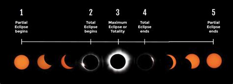 5 Stages of a Total Eclipse - Solar Eclipse Guide