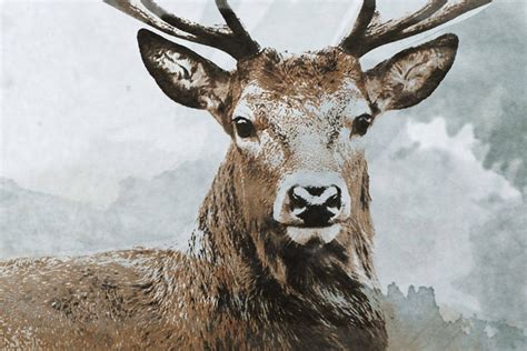 Elk Artwork Elk Art Elk Watercolor Elk Painting - Etsy