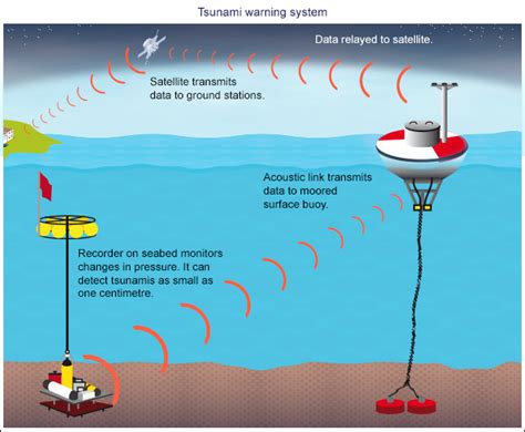 Is there a warning system to indicate a tsunami is coming ? how does it work? - home Of Tsunamis