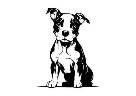 PITBULL SVG PITBULL Clipart Pitbull Svg Files for Cricut - Etsy