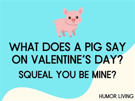 80+ Hilarious Pig Jokes to Make You Oink With Laughter - Humor Living