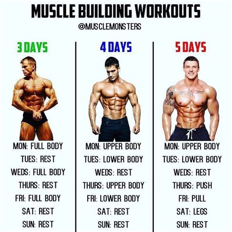 muscle building workouts | Fitness body, Workout routine, Workout