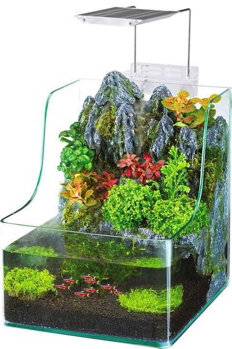 Live Plants For Fish Tank on Sale | www.dvhh.org