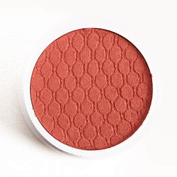 Best Coral Blushes Under $20