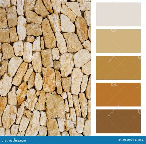 Stone color palette stock photo. Image of design, guide - 43458106