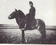 Przewalski's horse - Wikipedia