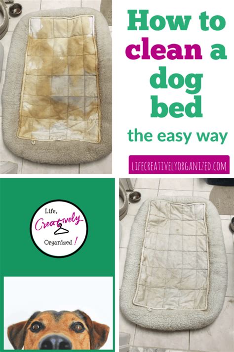 Clean the dog bed? It's easy! - LIFE, CREATIVELY ORGANIZED