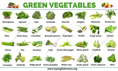 Green Vegetables: List of 31 Types of Vegetables that Have Green Color – My English Tutors