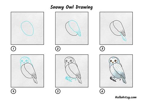 Snowy Owl Drawing - HelloArtsy