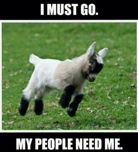 You Favourite Goat Based Memes - Goat Simulator 3