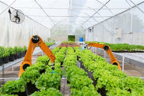 Smart robotic farmers harvest in agriculture futuristic robot automation to work technology ...