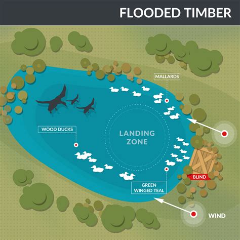 Where to Place Your Duck Decoys - Hunting Tips and Tactics