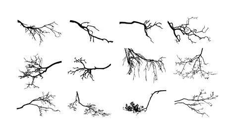 12 Tree Branch Silhouette (PNG Transparent) Vol. 3 | OnlyGFX.com