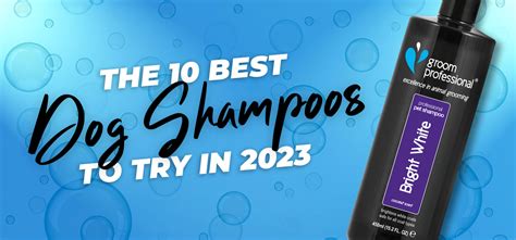 10 Best Dog Shampoos to Try in 2023 | christies pet grooming