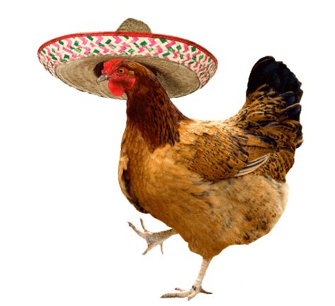 GIF transparent chicken dance - animated GIF on GIFER - by Dolar