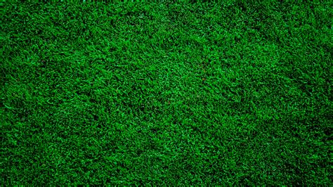 Wallpapers For > Dark Green Grass Background | Green grass background, Dark green, Green texture