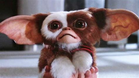 Does GREMLINS Qualify as a Christmas Movie? - Nerdist