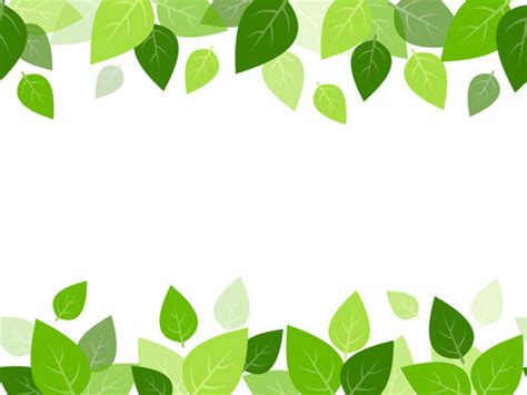 Leaf Divider Clipart Images