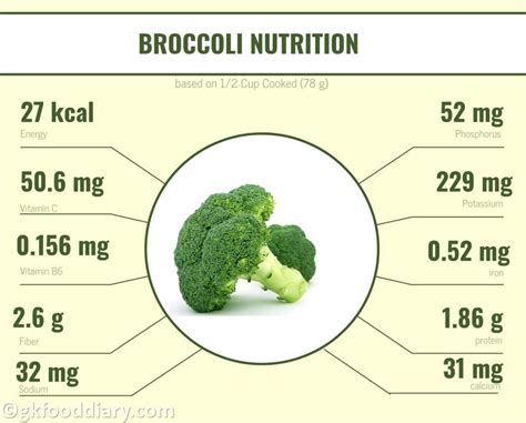 Broccoli For 5 Month Old Baby - Broccoli Walls