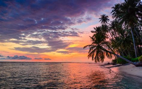 Indonesia Banyak Islands Sumatra Tropical Desert Beach Sunset Sky Sea Palm Trees Photo Landscape ...