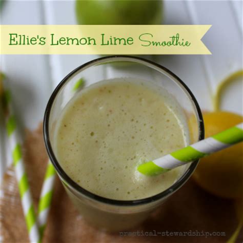 Ellie's Lemon Lime Smoothie Recipe - Practical Stewardship