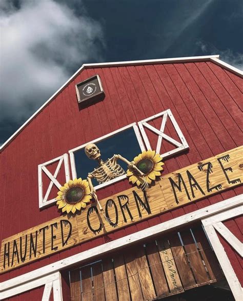 7 Best Places for a Haunted Corn Maze Near Me - Days Out On The Farm