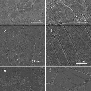 Microstructure of (a, b) low and magnification of as received brass... | Download Scientific Diagram