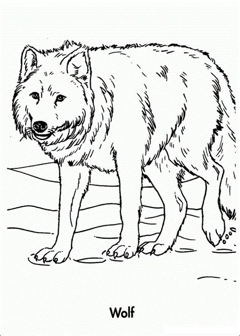 Free Printable Wolf Coloring Pages For Kids