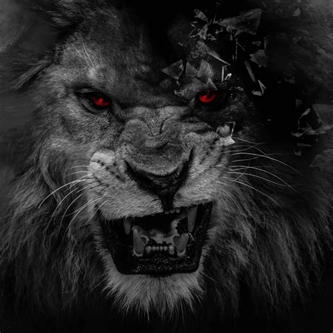 Lion Graffiti 4k Lion Wallpapers Hd Wallpapers Graffiti Wallpapers ...