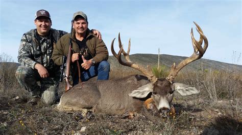 Cacerías de Venado Bura de Coahuila 1era Parte en Grandes Trofeos del ...