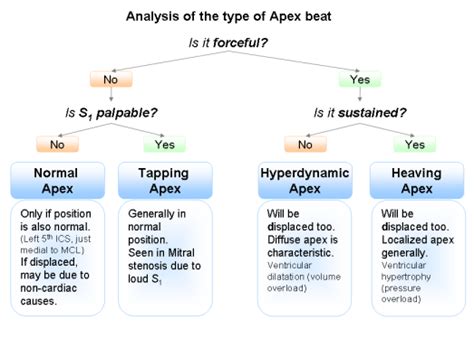 Causes of an Absent Apex Beat | Medical Notes