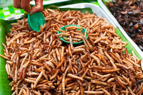 Bugs Feeding the World: 12 Companies Selling Edible Insects