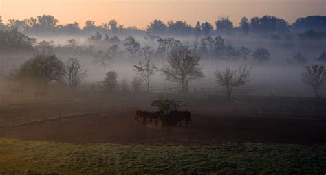 RURAL LANDSCAPES on Behance