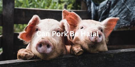 Halal Pork: Can Pork Be Halal? | WeHalal