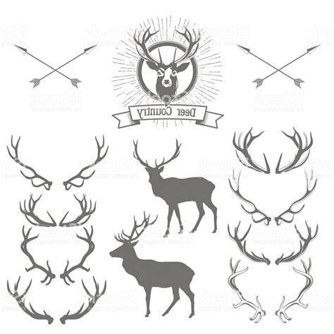 Elk Antler Vector at Vectorified.com | Collection of Elk Antler Vector ...