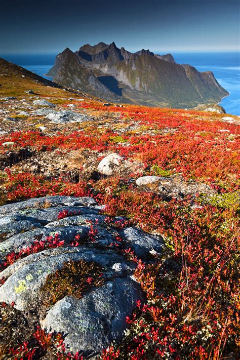 Barden on Senja island - hiking locals' favourite mountain | Stunning Outdoors