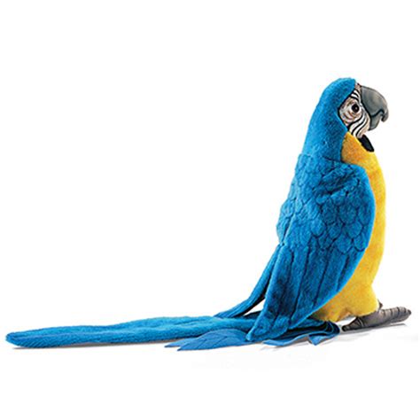 Blue And Gold Macaw Toys - Blowjob Story