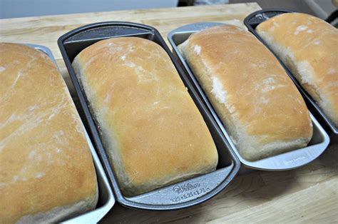 How to Make Bread in a Bosch Mixer – Suz Daily