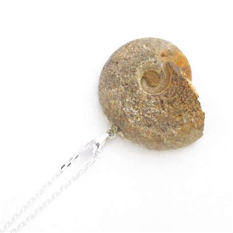 Fossil Ammonite Jewelry, Sterling Silver Necklace — CindyLouWho2