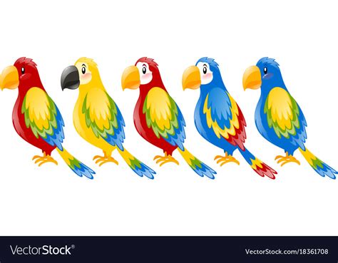 Macaw parrots in different colors Royalty Free Vector Image