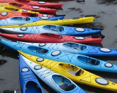 Kayak Types: Explained | Kayaking, Surfing, Sailing