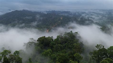 Heart of Borneo Jungle Trekking and Village Tour 7D6N – BE BORNEO